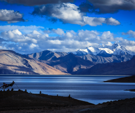 Untitled design (65)