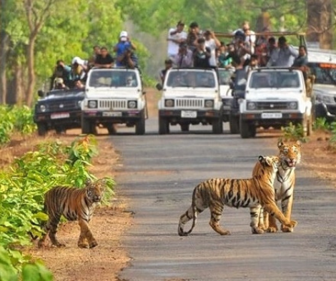 Untitled design (68)