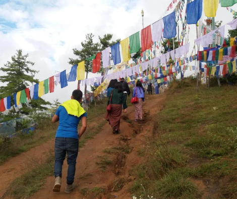 Untitled design (79)