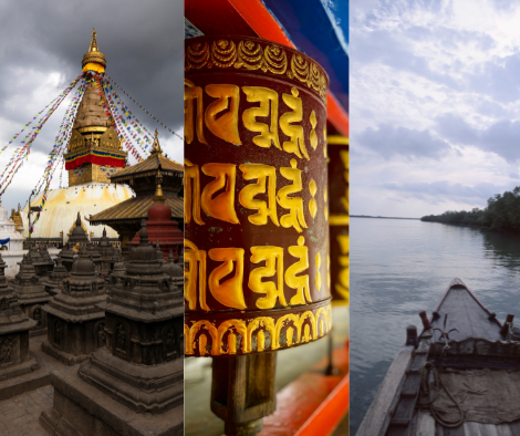 Untitled design (80)